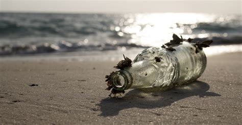 Quelle Est La Durée De Vie Des Déchets