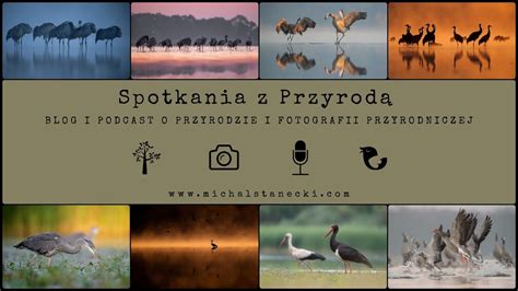 Spotkania Z Przyrod Warsztat Fotografa Agnieszka Florczyk I