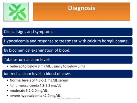 Recent diagnosis and treatment of milk fever in