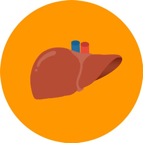 100 Liver Png Images