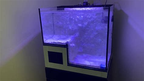 Innovative Marine Abyss Panorama Aquarium Youtube