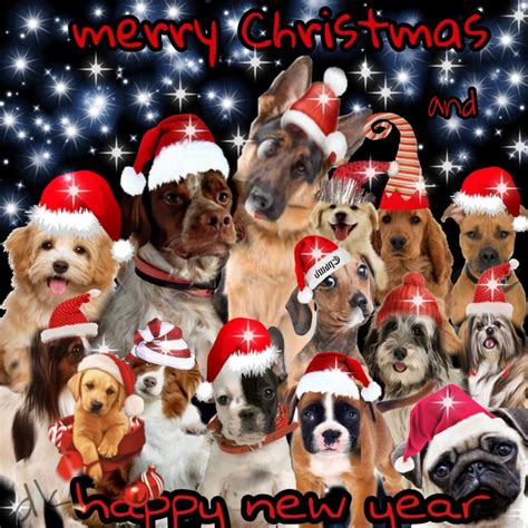 Merry Christmas And Happy New Year From Dogs Love Merry Christmas Dog