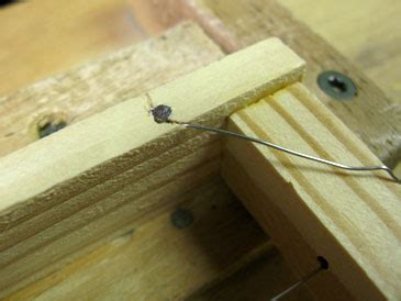 Frame Wiring Jig Free Plans Layens Horizontal Hives