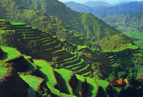 Banaue Rice Terraces Philippine Tourism