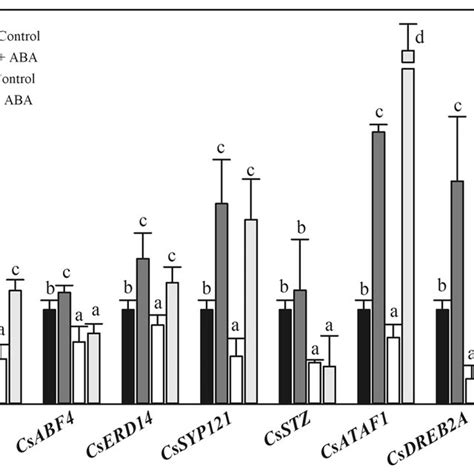 Effect Of Aba Treatment On The Expression Of Stress Responsive Genes