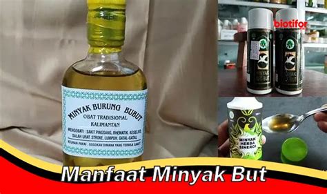 Temukan Manfaat Minyak But Jarang Diketahui Yang Perlu Anda Ketahui