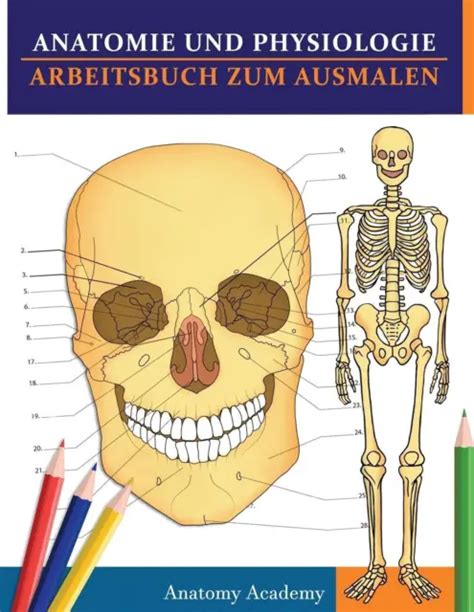 ANATOMIE UND PHYSIOLOGIE Arbeitsbuch Zum Ausmalen Anatomy