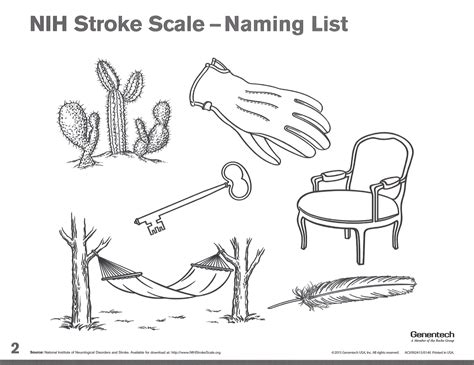 Printable Nih Stroke Scale