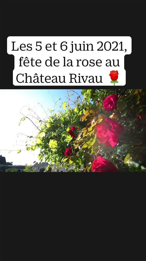 Les Et Juin F Te De La Rose Au Ch Teau Rivau Garden