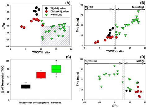 Relationship between TOC TN ratio and δ 13 C values A THg and