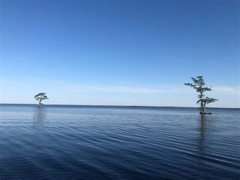 Edenton Gazette » Blog Archive » Chowan River Ramblings