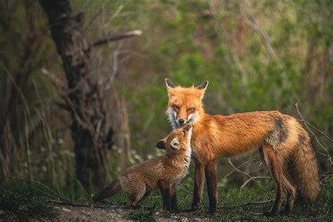 The Most Awe Inspiring Photos And Videos From National Geographic Week