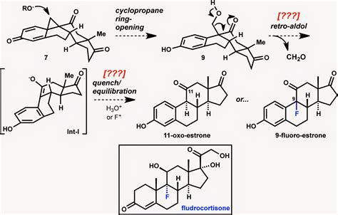 Modern Steroid Science Steroid Total Synthesis New Transition Metal Catalyzed Methods For