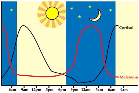 The circadian-driven hormones cortisol and melatonin occur out of ...