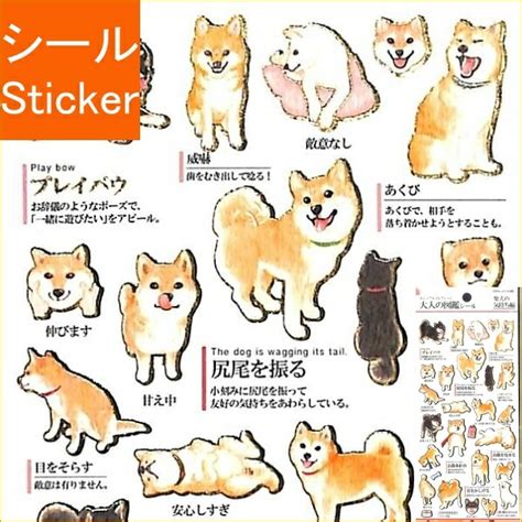 【楽天市場】kamio Japan ｶﾐｵｼﾞｬﾊﾟﾝ ｼｰﾙ ･ 大人の図鑑ｼｰﾙ 柴犬の気持ち編 ｼｰﾙ帳 福袋 ｽｹｼﾞｭｰﾙ ﾃﾞｺ