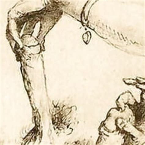 Gegenseitiges Wichsen Teil 1 Gay Handjob Porn 1e XHamster