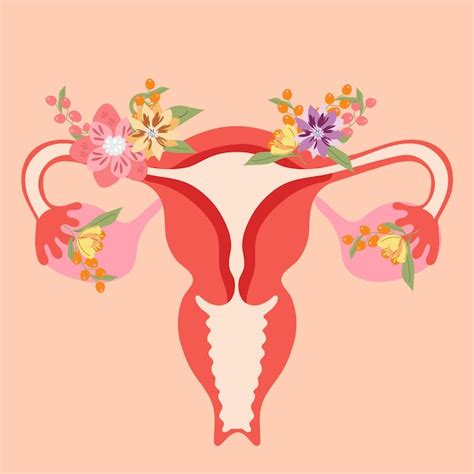 Premium Vector Female Reproductive System With Flowers In Vector