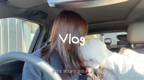 Vlogㅣ일상 브이로그ㅣ운전에 재미붙인 일상ㅣ남편 몰래 쇼핑하기🙄ㅣ극한직업 비숑프리제 개엄마ㅣ서다오 2세 생일파티🎂ㅣ쉐보레