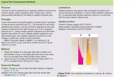 Biochemical Tests For Bacterial Identification Ppt