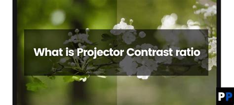 What Is the Projector Contrast Ratio? | Projectorpress