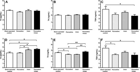 Effects Of Administration Of Subcutaneous Irisin Perfusion And