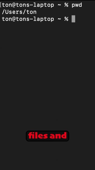 How To Navigate Linux Using Pwd Command In 1 Minutes Linux Pwd Commandline Youtube