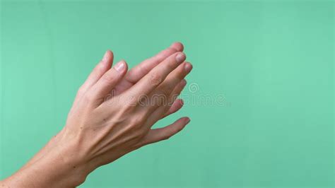 Light Applause With Hands Fingertips On Empty Green Chroma Key
