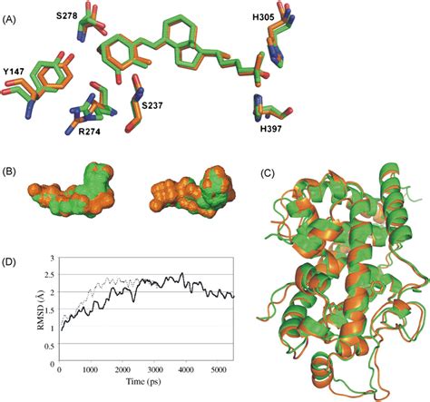 Md Simulations Of Ohd Binding To The Vdr Lbd Superimposed Complexes