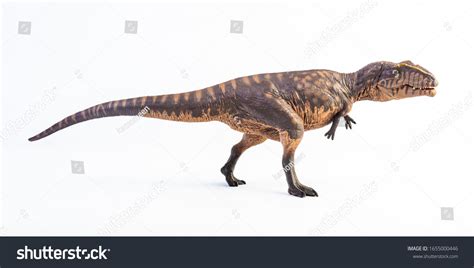 Giganotosaurus: Over 127 Royalty-Free Licensable Stock Photos ...