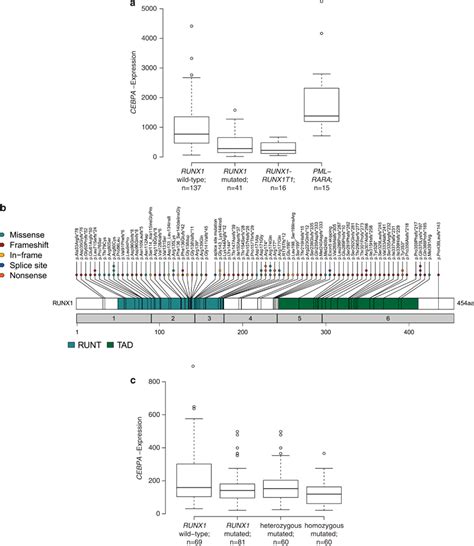 Cebpa Expression As Determined By Microarray Gene Expression Analysis Download Scientific