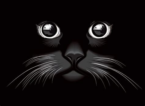 Black Cat Eyes Vector Background (Free) Free Vector Download | FreeImages