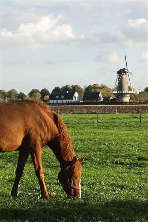 Streekproducten En Landwinkels In De Kromme Rijnstreek Vvv Kromme