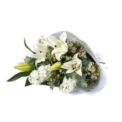 Elegant Lilies | Lillypad Flowers | Melbourne Delivery