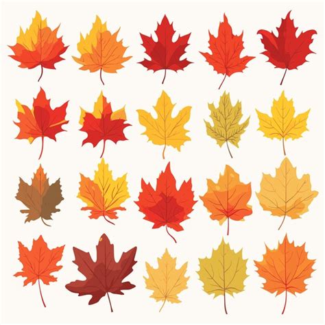 Premium Vector Autumn Leaves Set Isolated Vector Illustration