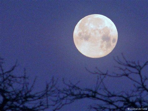 La Lune Plus Proche De La Terre Cette Nuit Le Journal De L Orne