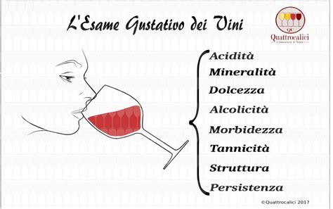 L Esame Gustativo Dei Vini Quattrocalici Conoscere Il Vino Vino