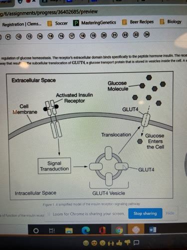 AP Bio Final Exam Progress Check 4 Flashcards Quizlet