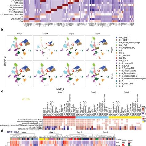 ScRNAseq Analysis Of Immune Response Induced By BNT162b2 And YF 17D A