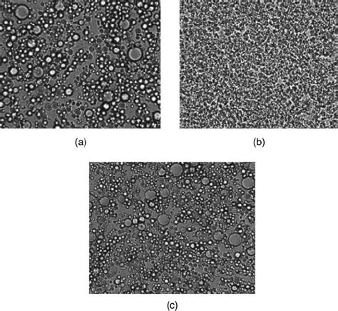 Microscopic Observation Of Oil Droplets Under 63 × Magnification A