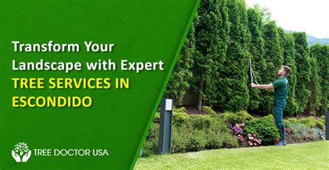 Expert Tree Healthcare Services In Escondido