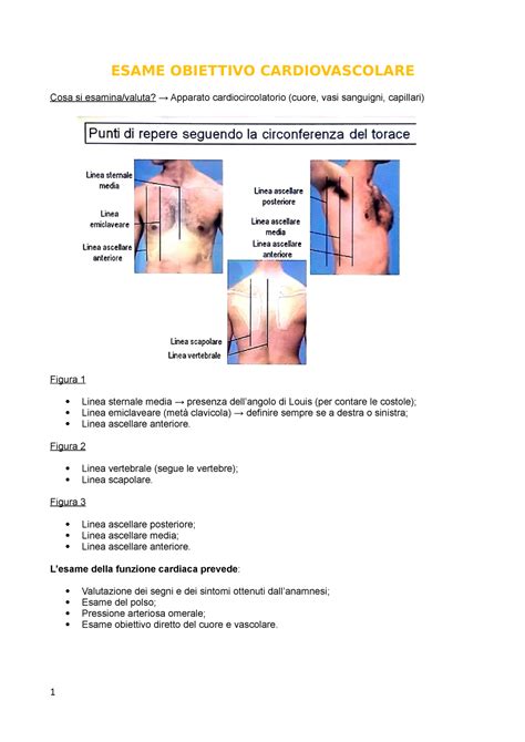 Esame Obiettivo Cardiovascolare Esame Obiettivo Cardiovascolare Cosa