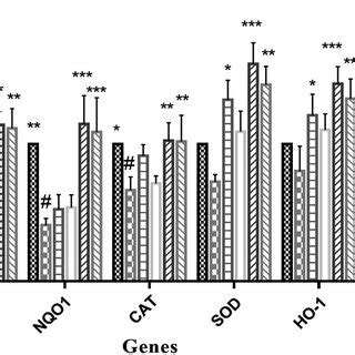 Effects Of Mung Beans And Peas On Antioxidant Gene Expression In Liver