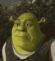 Shrek Meme Face Meme - Shrek Meme Face - Discover & Share GIFs