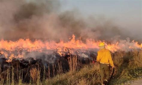 El incendio en Corrientes lleva más de 50 días y arrasó con 5 mil