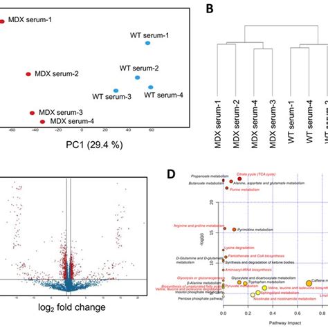 Serum Metabolomic Analysis A A Principal Component Analysis Pca