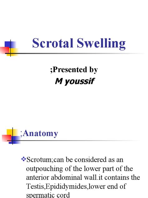 Scrotal Swelling | PDF | Anatomy | Medical Specialties