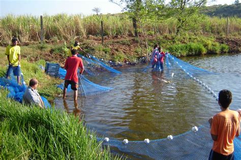 Fotos Engepesca Redes Para Aquicultura