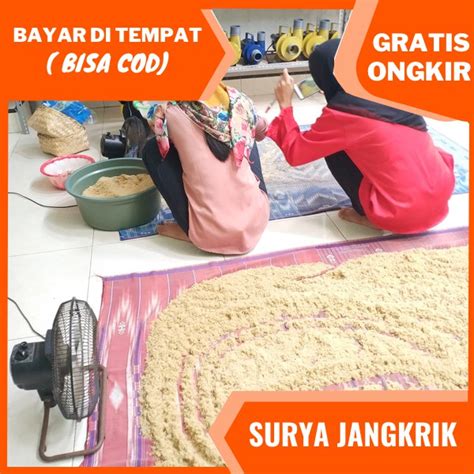 Jual Jual Telur Jangkrik Madu Jual Telur Jangkrik Solo Super Siap