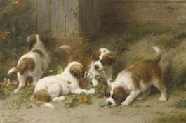 Cachorros De San Bernardo Jugando Con Berros Indios Saint Bernard