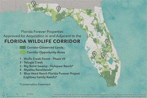 Corridor Conservation Update March 2023 | Florida Wildlife Corridor ...